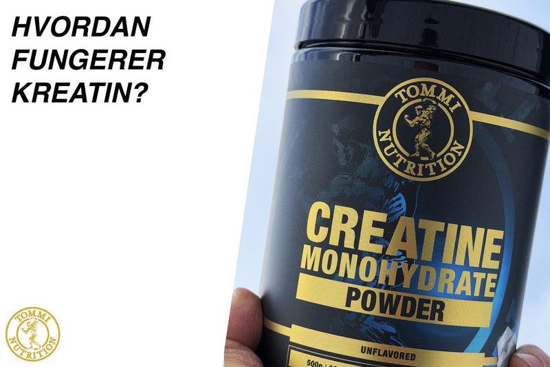 Hvordan fungerer kreatin?