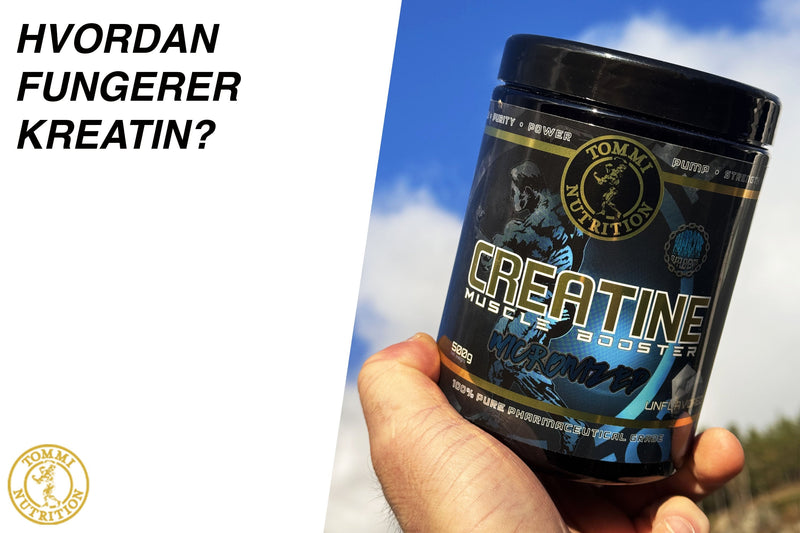 Hvordan fungerer kreatin? - Tommi Nutrition