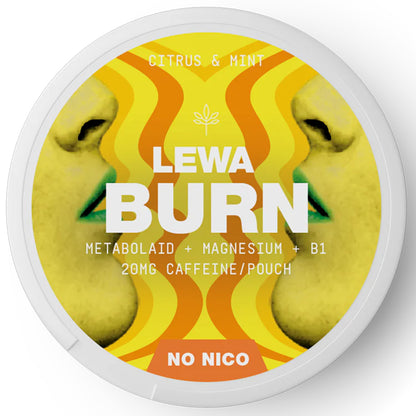 1 stk LEWA Functional NoNic0
